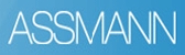 Assmann electronics inc