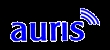 Auris gmbh