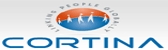 Cortina systems inc