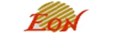 Eon silicon solution inc