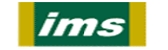 International manufacturing services inc