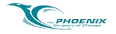 The phoenix company of chicago inc