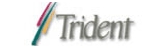 Trident microsystems inc